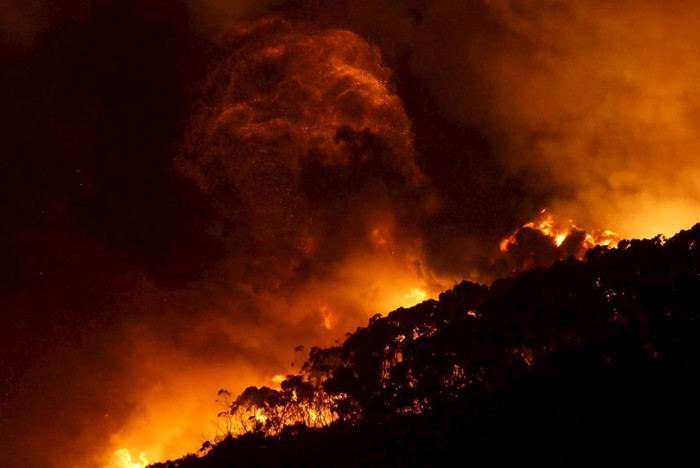 Kebakaran hutan adalah salah satu bencana yang disebabkan oleh faktor alam atau perbuatan manusia. Lalu, apa saja yang menjadi penyebab kebakaran hutan?