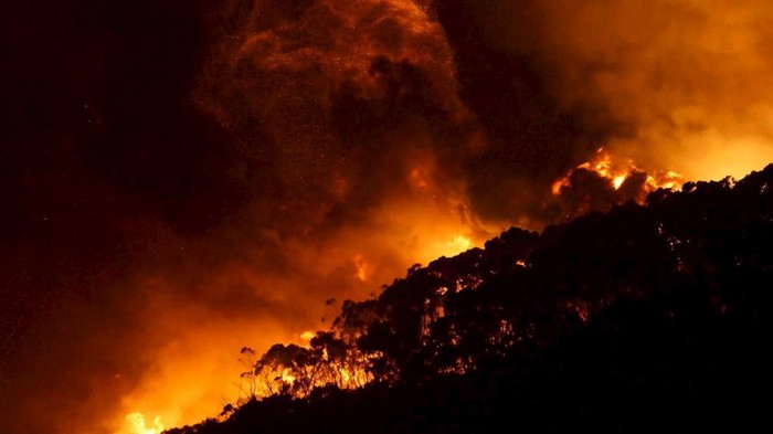 Kebakaran hutan adalah salah satu bencana yang disebabkan oleh faktor alam atau perbuatan manusia. Lalu, apa saja yang menjadi penyebab kebakaran hutan?