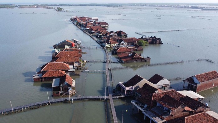Potret Desa Timbulsloko di Demak yang Tenggelam Akibat Air Laut Pasang Students walks on a wooden bridge that connects houses as well as the main road as they back from school in Timbulsloko village, Demak regency, Central Java province on June 8, 2023. Since the last 8 years, the villagers of Timbulsloko can no longer see land in their village, after the tidal waters have inundated the entire village. Rising sea levels and subsidence of the land surface have resulted in villages that were once fertile with plantations and rice fields, now surrounded by sea water which isolates the village due to a sunken access road. Boats are the only means of transportation that residents rely on to support their activities, such as going to work, market, or school. (Photo by Aditya Irawan/NurPhoto via Getty Images)