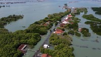 Melansir laman Greenpeace Indonesia, Desa Timbulsloko merupakan desa produktif di bidang pertanian. Naiknya air laut dan menyusutnya garis pantai 3-5 kilometer selama 30 tahun terakhir mendorong para penduduk membuat tambak ikan. Namun, tambak ikan itu pun kini sudah tiada imbas banjir rob ini.  