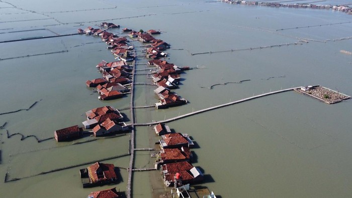 Potret Desa Timbulsloko di Demak yang Tenggelam Akibat Air Laut Pasang Students walks on a wooden bridge that connects houses as well as the main road as they back from school in Timbulsloko village, Demak regency, Central Java province on June 8, 2023. Since the last 8 years, the villagers of Timbulsloko can no longer see land in their village, after the tidal waters have inundated the entire village. Rising sea levels and subsidence of the land surface have resulted in villages that were once fertile with plantations and rice fields, now surrounded by sea water which isolates the village due to a sunken access road. Boats are the only means of transportation that residents rely on to support their activities, such as going to work, market, or school. (Photo by Aditya Irawan/NurPhoto via Getty Images)