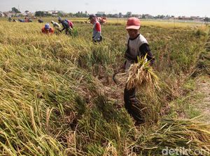 Menanti Kelanjutan Hasil Pekan Nasional Petani dan Nelayan