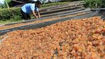 Produksi Kerupuk Kulit di Aceh Menurun Hingga 80 Persen