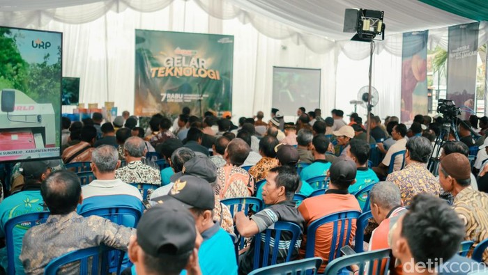PT Agrofarm Nusa Raya