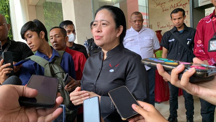 Puan Maharani (Anggi-detikcom)