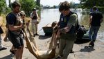 Relawan Sibuk Evakuasi Binatang Korban Banjir di Kherson