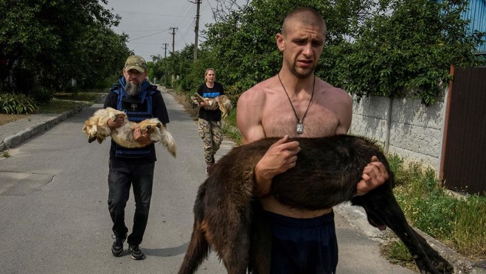 Volunteers evacuate a dog, previously sedated, from a flooded area after the Nova Kakhovka dam breached, amid Russia's attack on Ukraine, in Kherson, Ukraine June 7, 2023. REUTERS/Vladyslav Musiienko