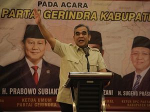 Muzani: Prabowo Bicara Perdamaian Ukraina-Rusia Agar Pupuk di RI Tercukupi