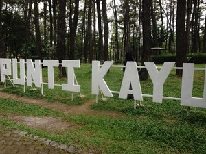 Taman Wisata Alam Punti Kayu Palembang, Surga Pinus di Sumatera Selatan