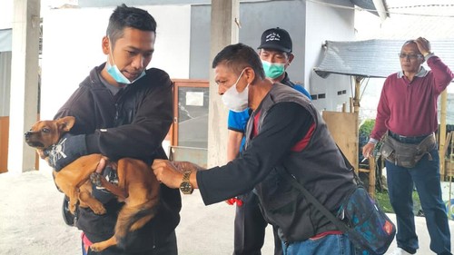 Vaksinasi pada hewan penular rabies (HPR) terhenti sementara karena stok vaksin yang kosong. Padahal, kasus rabies di Tabanan meningkat.