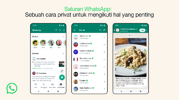 WhatsApp Channel