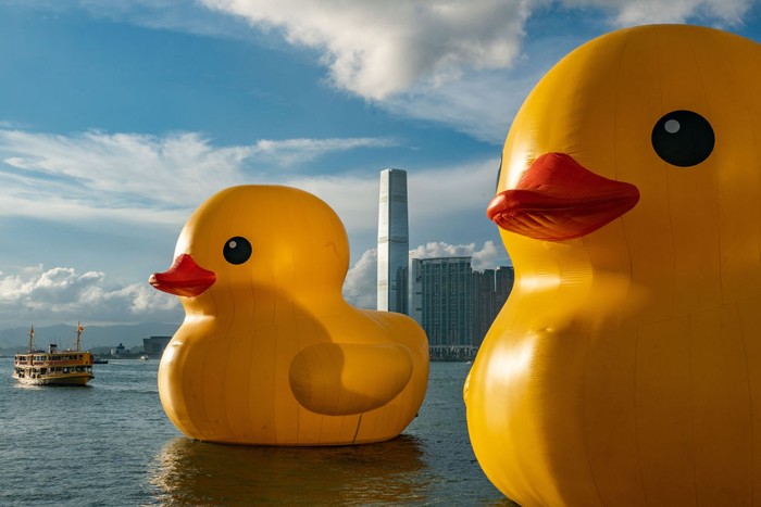 5 Potret Patung Bebek Raksasa di Pelabuhan Hong Kong HONG KONG, CHINA - JUNE 09: Giant inflatable rubber duck sculptures are seen in Victoria Harbor on June 09, 2023 in Hong Kong, China. The 18-metre-tall inflatable sculptures are some of the tallest rubber ducks in the world, created by Dutch artist Florentijn Hofman as part of a large-scale public art exhibition