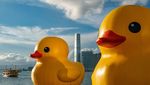 5 Potret Patung Bebek Raksasa di Pelabuhan Hong Kong