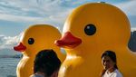 5 Potret Patung Bebek Raksasa di Pelabuhan Hong Kong