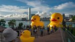 5 Potret Patung Bebek Raksasa di Pelabuhan Hong Kong