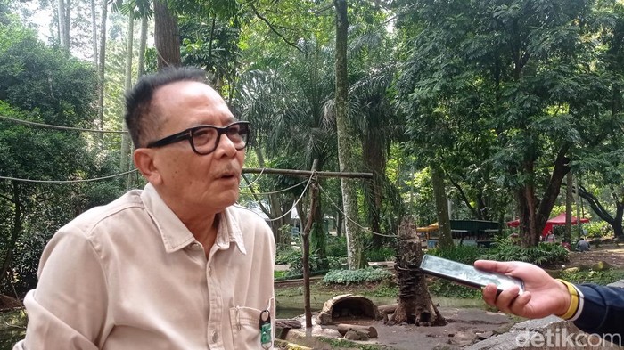 Anggota Dewan Pembina Yayasan Margasatwa Tamansari I Gede Pantja Astawa.