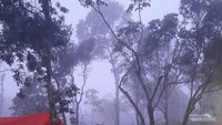 Kabut Senja di Camp David Papandayan