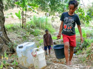 Perjuangan Warga Desa di Situbondo Jalan Hingga 4 Km Demi Air Bersih