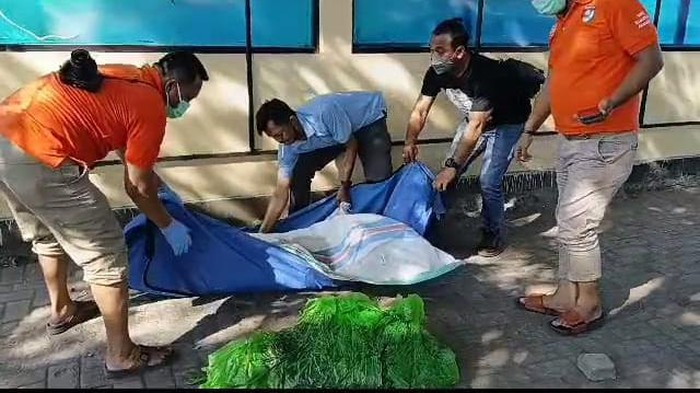 Mayat mutilasi Sidoarjo
