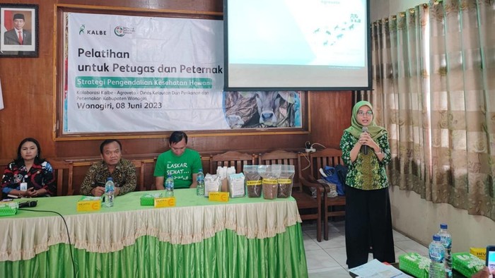 Petugas dan Peternak Diberi Pelatihan Jaga Kesehatan Hewan Ternak Petugas dan Peternak Diberi Pelatihan Jaga Kesehatan Hewan Ternak
