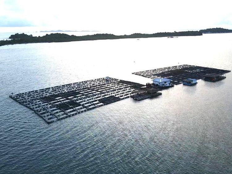 Potret Keramba 2 Hektare yang Disegel KKP