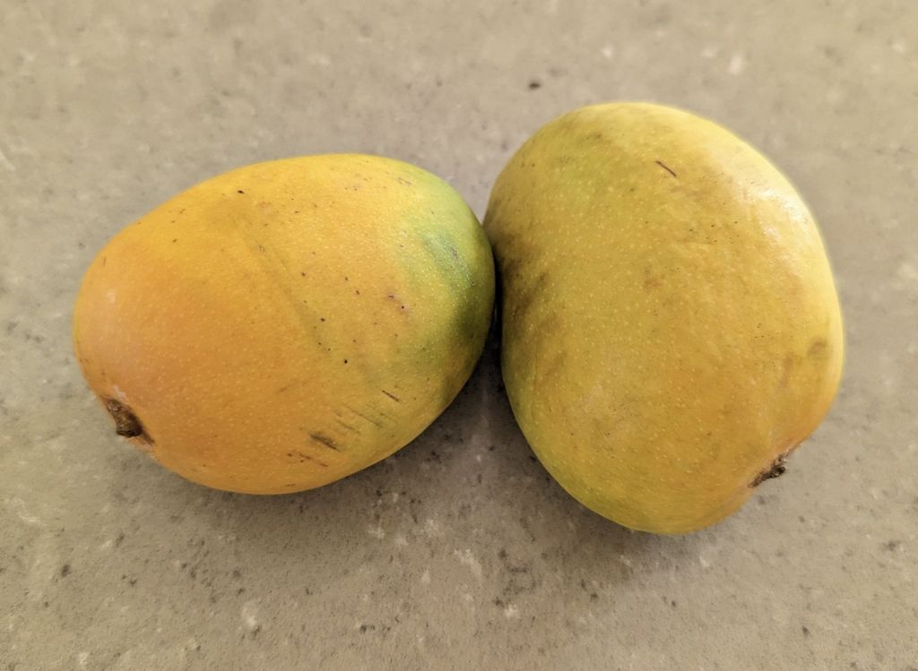 Pria Ini Diberi 2 Buah Mangga oleh ART, Alasannya Bikin Haru!