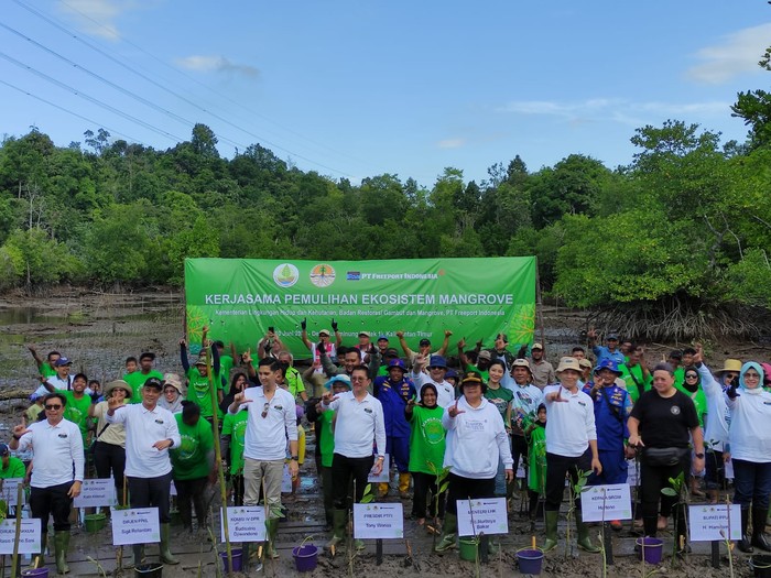 PTFI Rehabilitasi Mangrove di Balikpapan