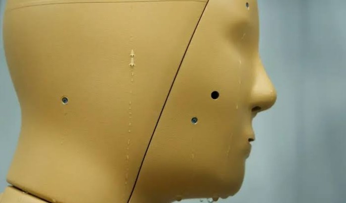 Robot ANDI