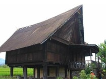 Rumah Tatahan Sumsel: Ciri Khas, Fungsi, dan Makna Filosofisnya