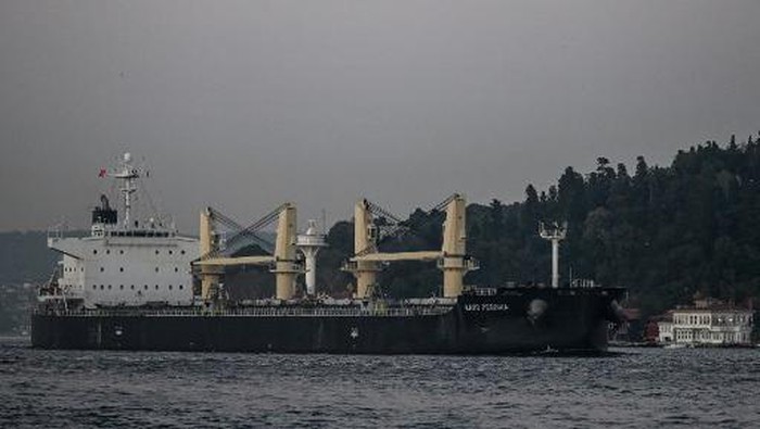Kavo Perdika, a cargo vessel carrying Ukrainian grain, sails on Bosphorus to mMarmara sea, in Istanbul, on November 2, 2022. President Recep Tayyip Erdogan said the traffic of vessels carrying Ukrainian grain and other agricultural products resumed on November 2, 2022 after a phone call between the Turkish and Russian defence ministers.Russian Defence Minister Sergei Shoigu called Turkish counterpart Hulusi Akar to inform that 