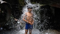 Hal ini mereka lakukan agar tetap segar di tengah teriknya sinar matahari.