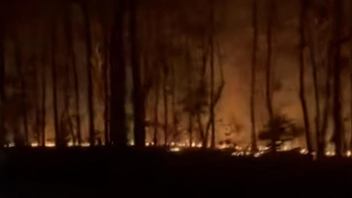 Kebakaran hutan Baluran