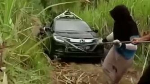 Mobil Google Maps yang nyasar di kebun tebu Malang.
