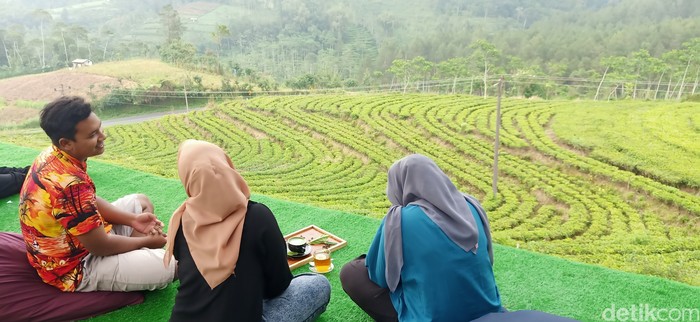 Wisata alam kebun teh Kertosari di Kecamatan Kalibening, Banjarnegara yang sejuk dan asri. Foto diunggah Minggu (11/6/2023).