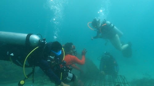 Wisata baru di Tanjung Benoa, Bali yang menawarkan budidaya konservasi terumbu karang (koral). (Triwidiyanti/detikBali)