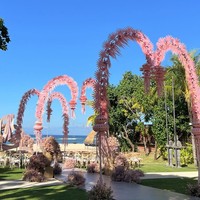 Salah satu elemen yang mencuri perhatian adalah janur yang disusun menyerupai sebuah lorong.  Foto: Instagram/@lxemoments