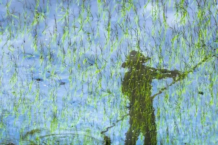 Foto Lukisan