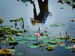 Terperangah, Ini Bukan Lukisan Maupun Foto yang Diedit Photoshop