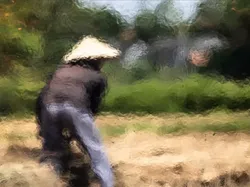 Terperangah, Ini Bukan Lukisan Maupun Foto yang Diedit Photoshop