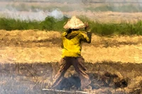 Foto Lukisan