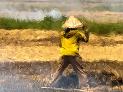 Terperangah, Ini Bukan Lukisan Maupun Foto yang Diedit Photoshop