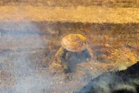 Foto Lukisan