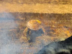 Terperangah, Ini Bukan Lukisan Maupun Foto yang Diedit Photoshop