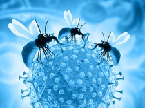 Jalan Panjang Wabah Malaria Serang Cirebon