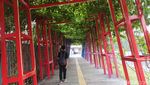 Spot Hangout Baru Jakarta Creative Zone, Ada Apa Saja?