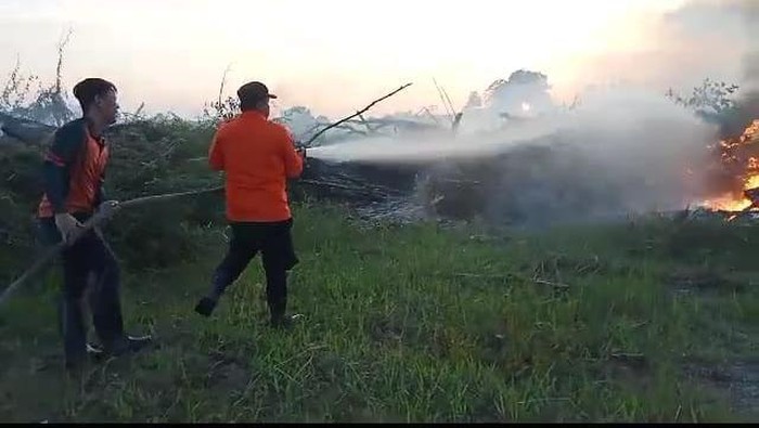 Kebakaran lahan di Palembang.