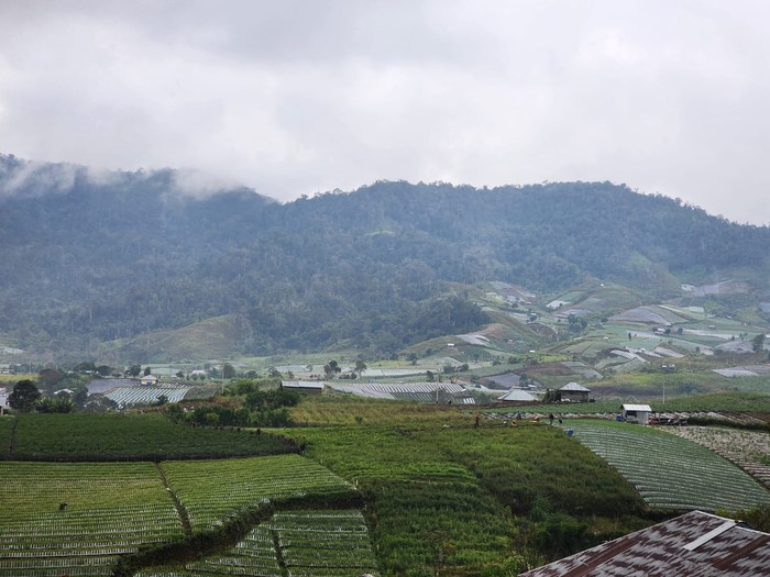 Kementan