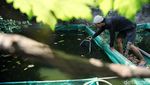 Keren! Tempat Pembuangan Sampah Disulap Jadi Urban Farming