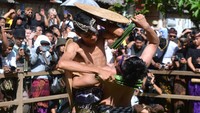 Dua orang warga saling menyerang dengan daun pandan berduri saat mengikuti tradisi Mekare atau perang pandan di Desa Tenganan Pegringsingan, Karangasem, Bali, Minggu (11/6/2023). 