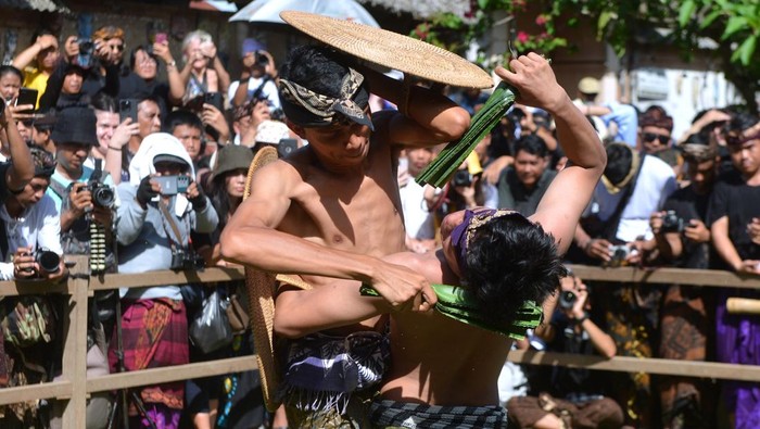 Dua orang warga saling menyerang dengan daun pandan berduri saat mengikuti tradisi Mekare atau perang pandan di Desa Tenganan Pegringsingan, Karangasem, Bali, Minggu (11/6/2023). Tradisi setahun sekali itu dilakukan warga setempat sebagai bentuk penghormatan kepada Dewa Indra atau Dewa Perang. ANTARA FOTO/Fikri Yusuf/nz